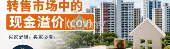 政府组屋转售市场现金溢价解析