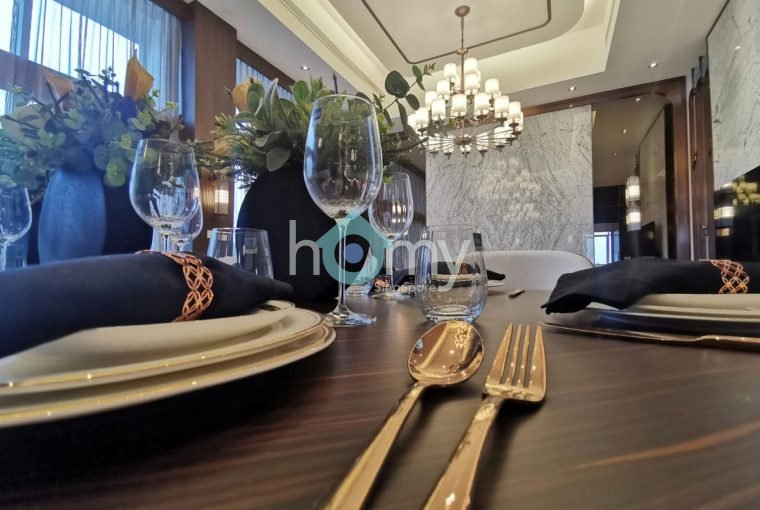 V on Shenton - Penthouse for Sale