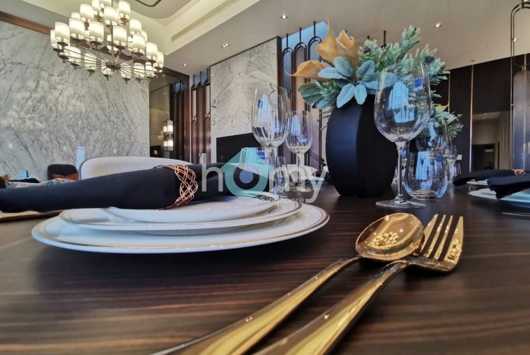 V on Shenton - Penthouse for Sale