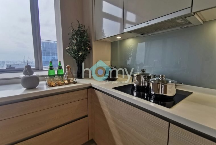 V on Shenton - Penthouse for Sale