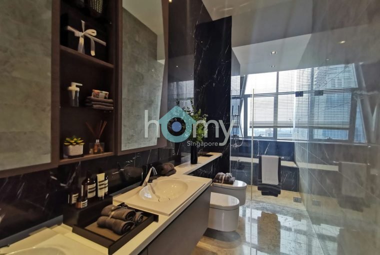 V on Shenton - Penthouse for Sale