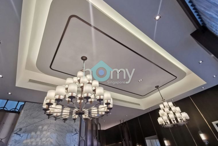 V on Shenton - Penthouse for Sale