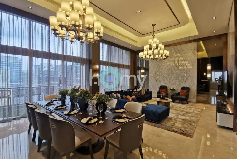 V on Shenton - Penthouse for Sale