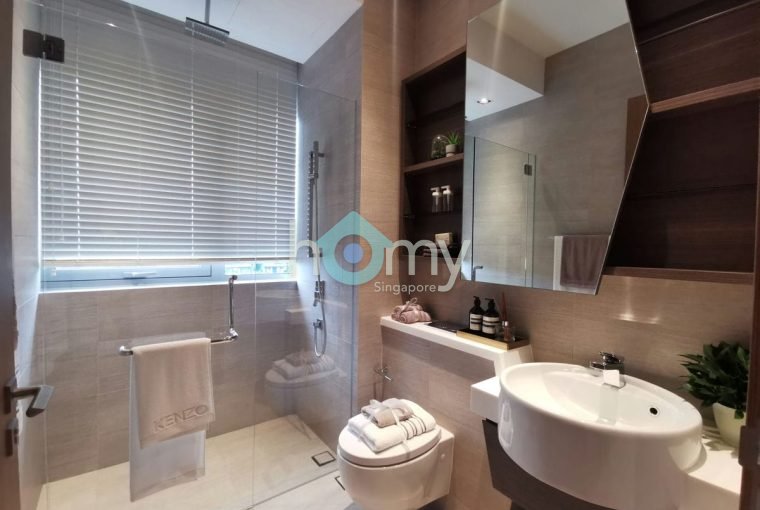 V on Shenton - Penthouse for Sale
