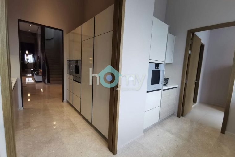 V on Shenton - Penthouse for Sale