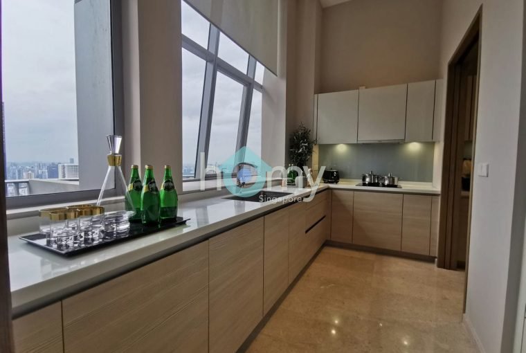V on Shenton - Penthouse for Sale