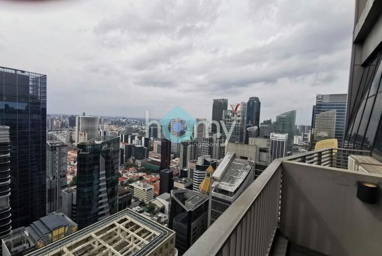 V on Shenton - Penthouse for Sale