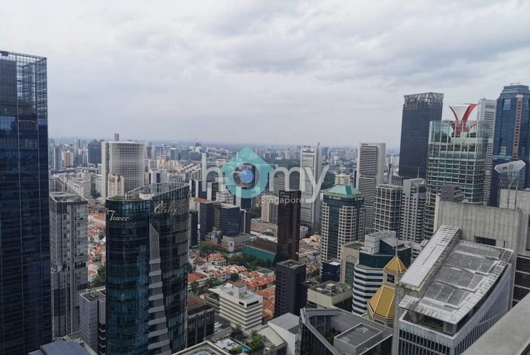 V on Shenton - Penthouse for Sale