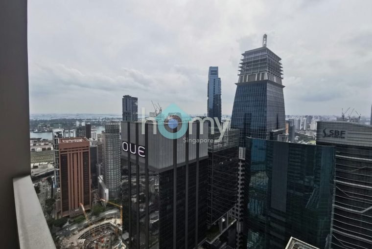 V on Shenton - Penthouse for Sale